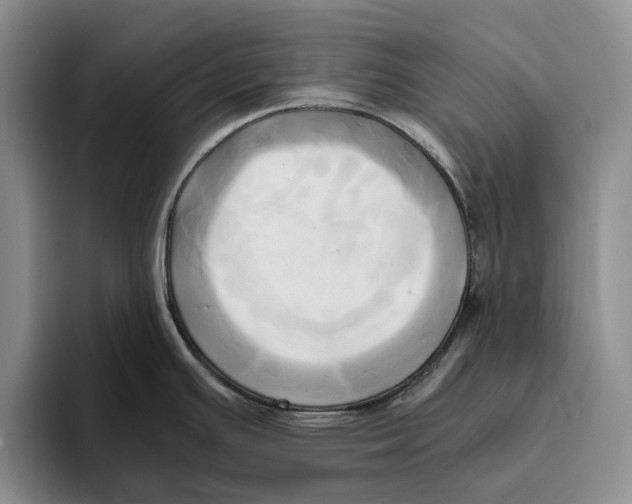 X0000096221391200802151513