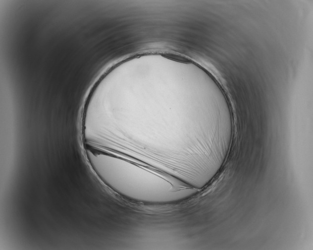 X0000096221392200802151513