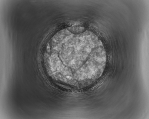 X0000096221393200802151513