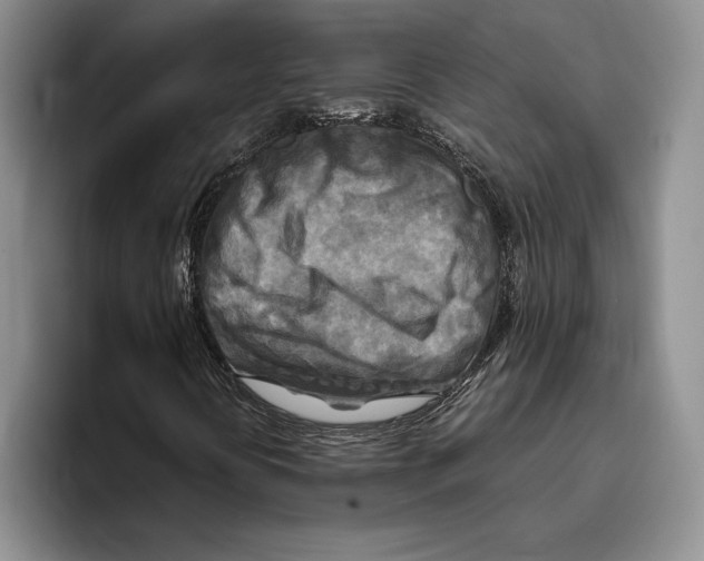 X0000096221394200802151513