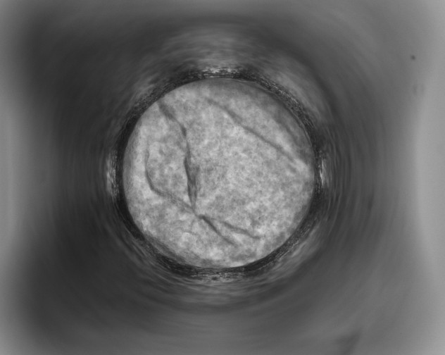 X0000096221396200802151513