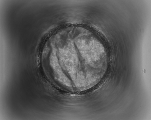 X0000096221398200802151513