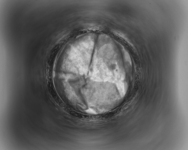 X0000096221399200802151513