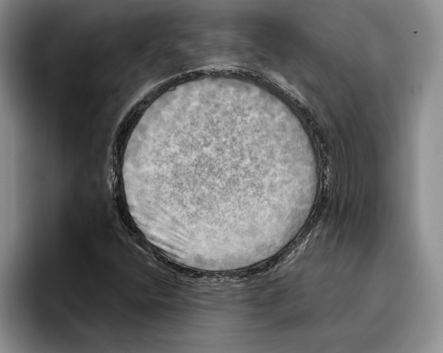 X0000096221400200802151513