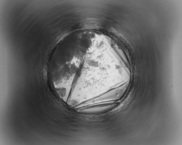 X0000096221401200802151513