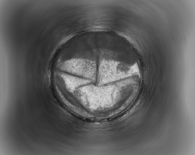 X0000096221402200802151513