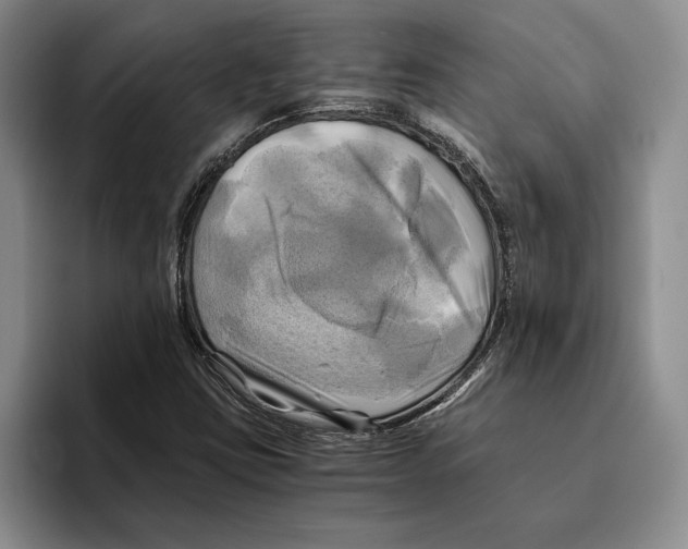 X0000096221403200802151513