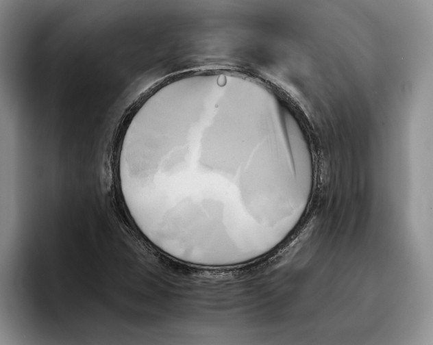 X0000096221407200802151513