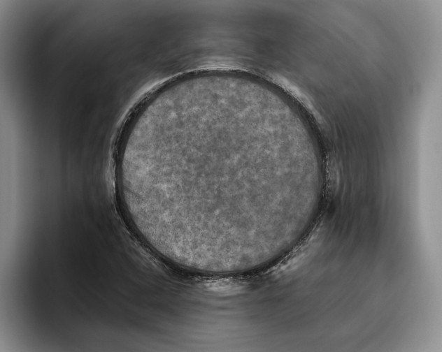 X0000096221408200802151513