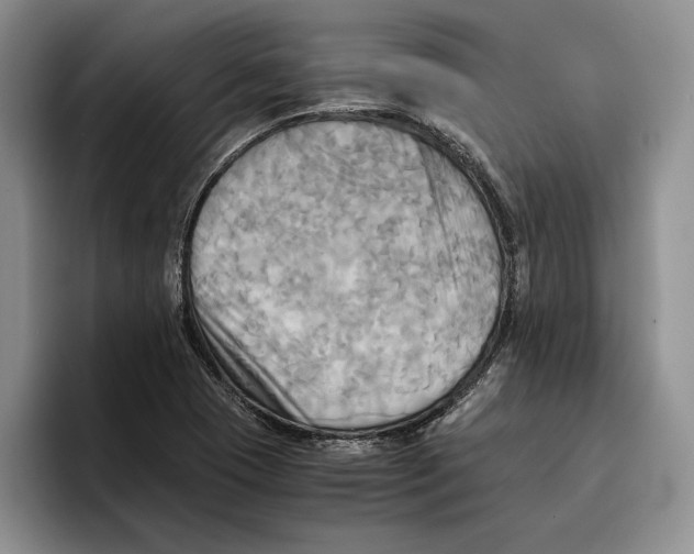 X0000096221409200802151513