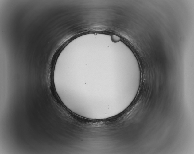 X0000096221410200802151513