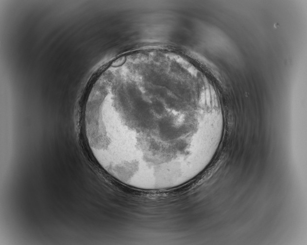 X0000096221411200802151513