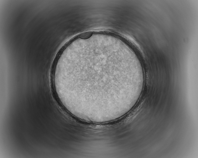 X0000096221412200802151513