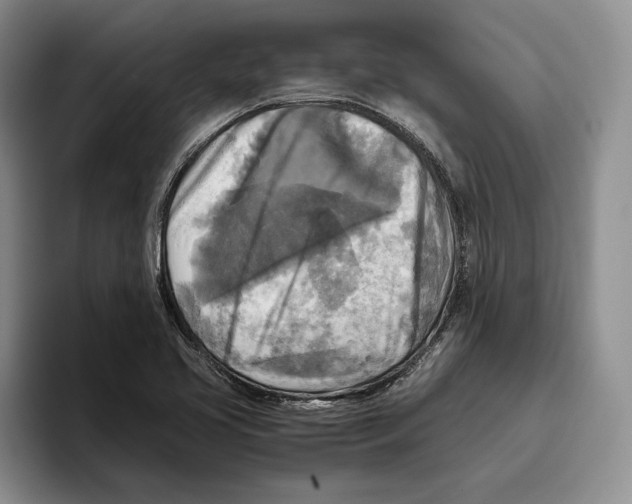 X0000096221413200802151513