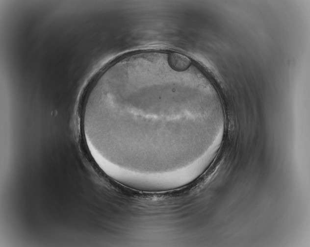 X0000096221414200802151513