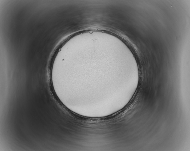 X0000096221416200802151513