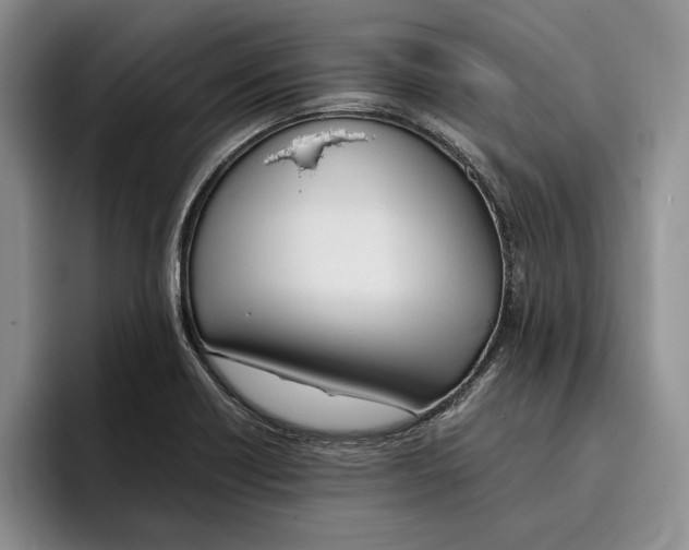 X0000096221418200802151513