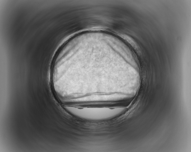 X0000096221420200802151513