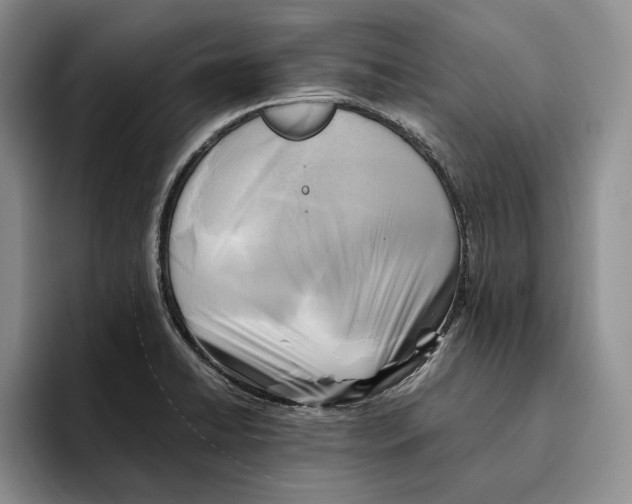 X0000096221422200802151513