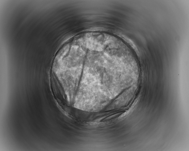 X0000096221425200802151513