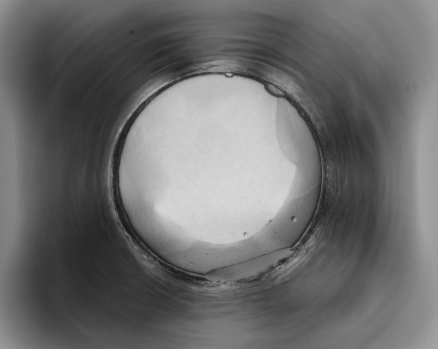 X0000096221426200802151513