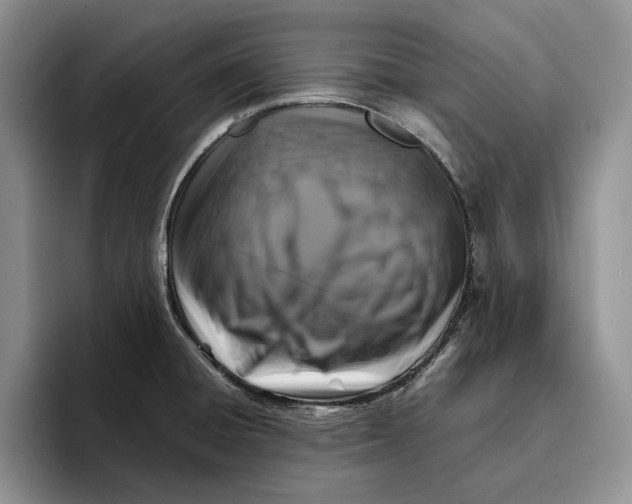 X0000096221428200802151513