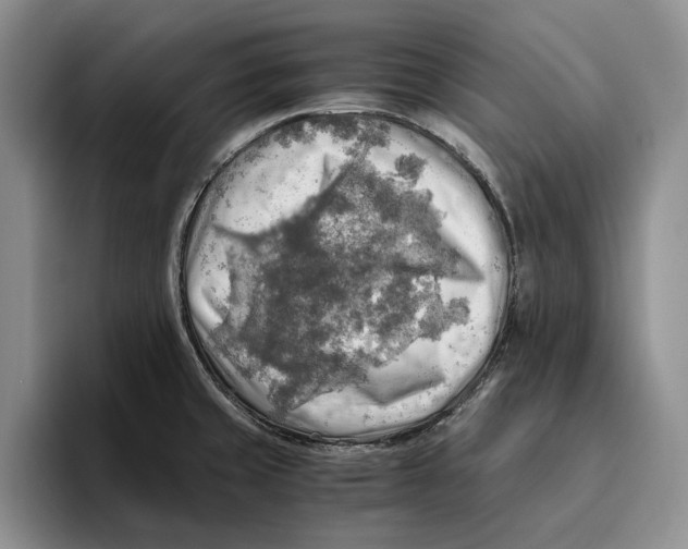 X0000096221429200802151513