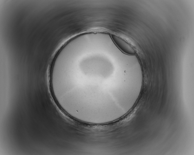 X0000096221430200802151513