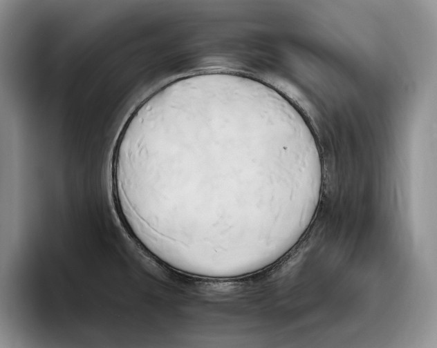 X0000096221431200802151513