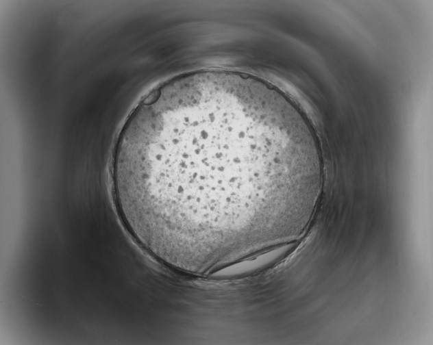 X0000096221432200802151513