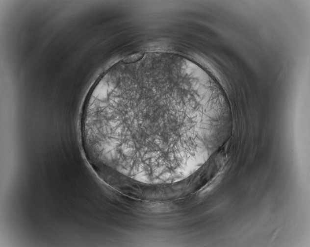 X0000096221434200802151513