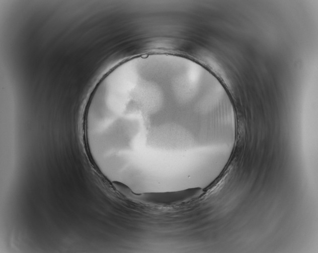 X0000096221435200802151513