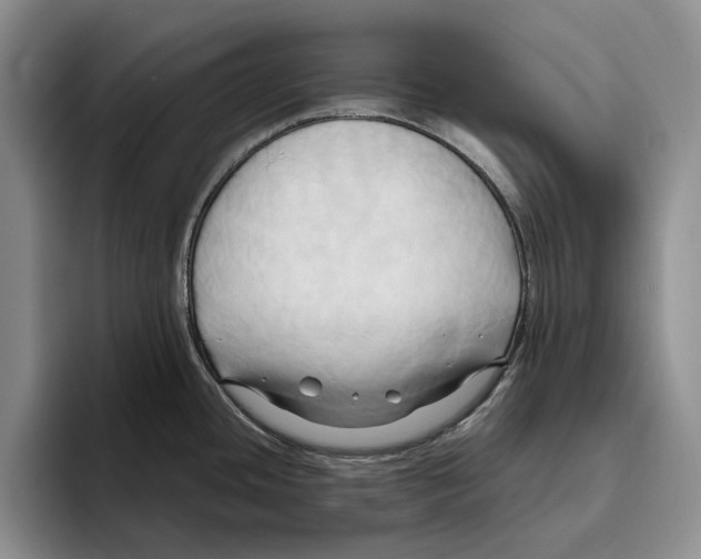 X0000096221436200802151513