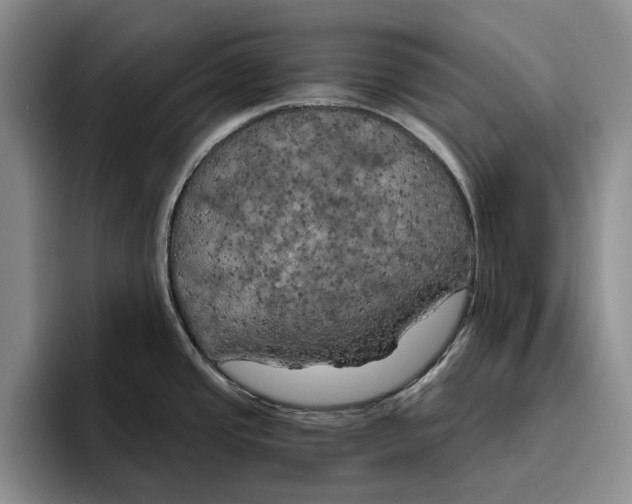 X0000096221437200802151513