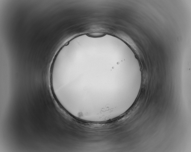 X0000096221439200802151513