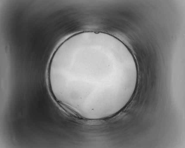 X0000096221440200802151513