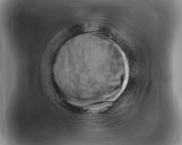 X0000096221441200802151513