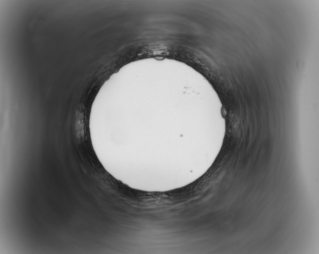 X0000096221442200802151513