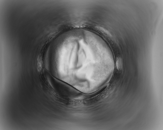 X0000096221444200802151512