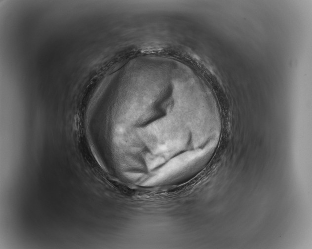 X0000096221445200802151512