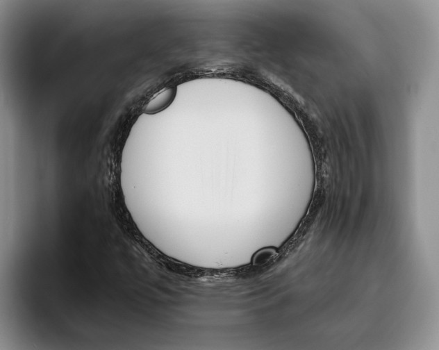 X0000096221447200802151512