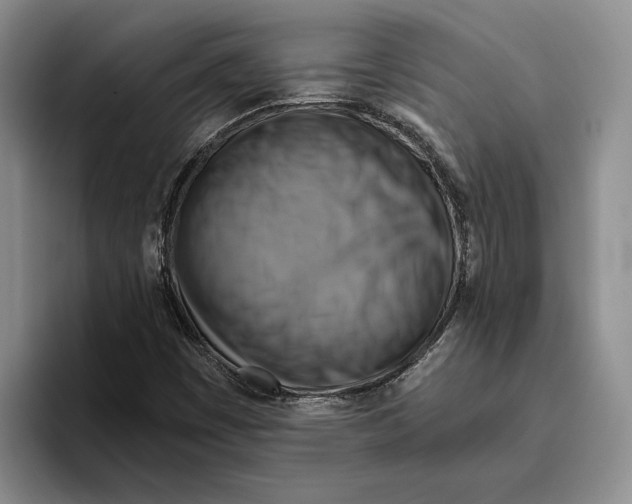 X0000096221449200802151512