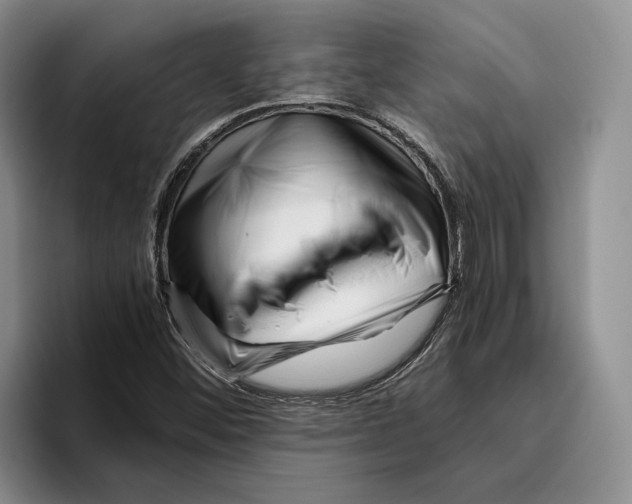 X0000096221452200802151512