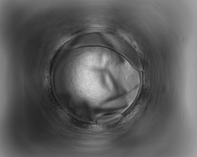 X0000096221453200802151512