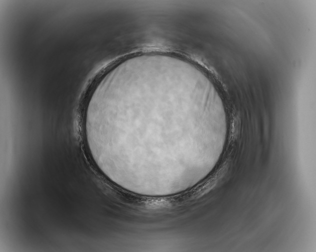 X0000096221454200802151512