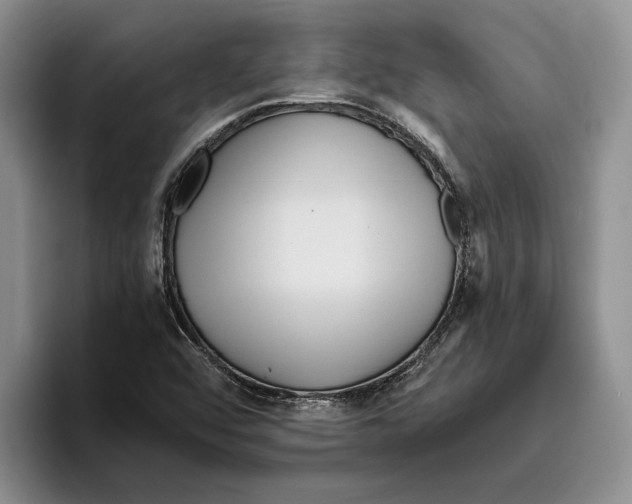 X0000096221456200802151512