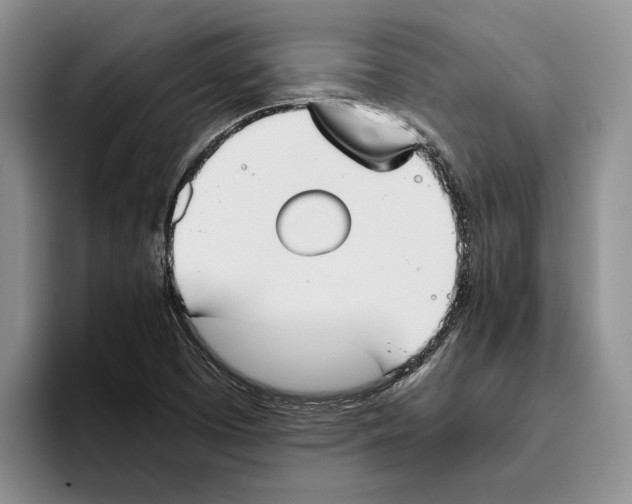 X0000096221457200802151512