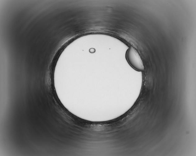 X0000096221458200802151512