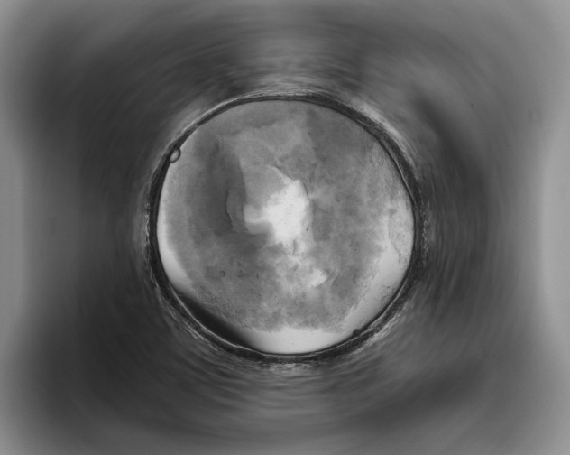 X0000096221459200802151512