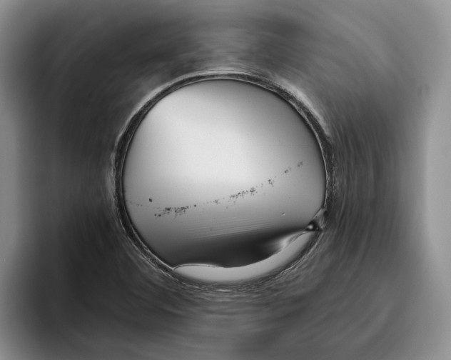 X0000096221460200802151512